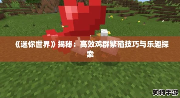 《迷你世界》揭秘:高效鸡群繁殖技巧与乐趣探索 《迷你世界》揭秘:高效鸡群繁殖技巧与乐趣探索