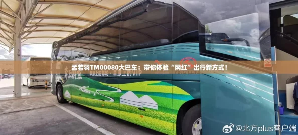 孟若羽TM00080大巴车：带你体验“网红”出行新方式！