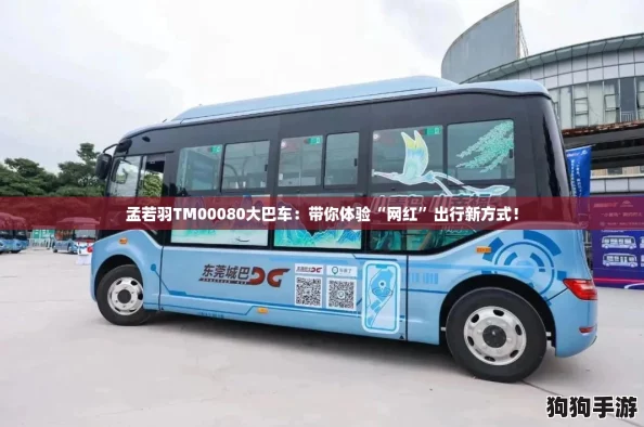 孟若羽TM00080大巴车：带你体验“网红”出行新方式！