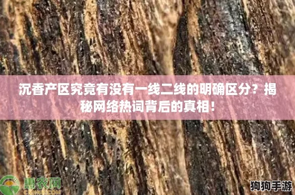 沉香产区究竟有没有一线二线的明确区分？揭秘网络热词背后的真相！