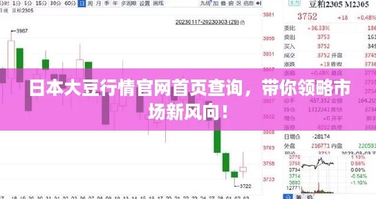 日本大豆行情官网首页查询,带你领略市场新风向! 日本大豆行情官网首页查询,带你领略市场新风向!