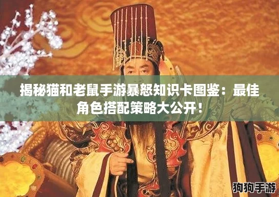 揭秘猫和老鼠手游暴怒知识卡图鉴：最佳角色搭配策略大公开！