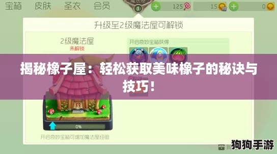 揭秘橡子屋：轻松获取美味橡子的秘诀与技巧！