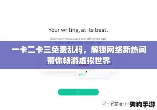 一卡二卡三免费乱码，解锁网络新热词带你畅游虚拟世界
