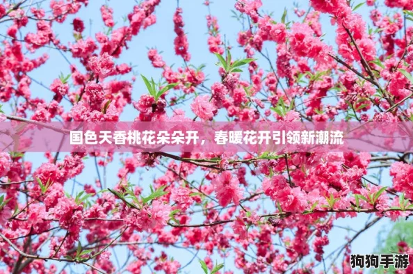 国色天香桃花朵朵开，春暖花开引领新潮流