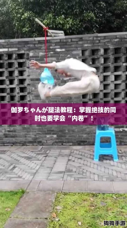 伽罗ちゃんが腿法教程:掌握绝技的同时也要学会“内卷”! 伽罗ちゃんが腿法教程:掌握绝技的同时也要学会“内卷”!