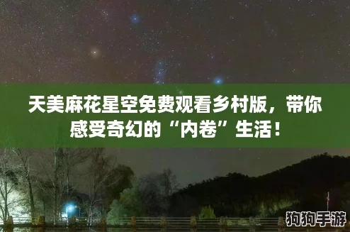 天美麻花星空免费观看乡村版，带你感受奇幻的“内卷”生活！