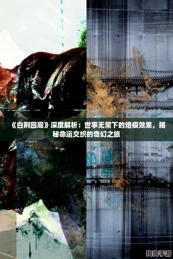 《白荆回廊》深度解析：世事无常下的烙痕效果，揭秘命运交织的奇幻之旅