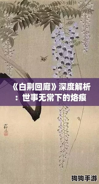 《白荆回廊》深度解析:世事无常下的烙痕效果,揭秘命运交织的奇幻之旅 《白荆回廊》深度解析:世事无常下的烙痕效果,揭秘命运交织的奇幻之旅