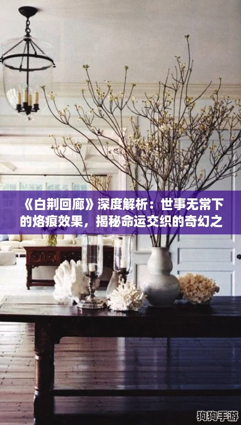 《白荆回廊》深度解析:世事无常下的烙痕效果,揭秘命运交织的奇幻之旅 《白荆回廊》深度解析:世事无常下的烙痕效果,揭秘命运交织的奇幻之旅