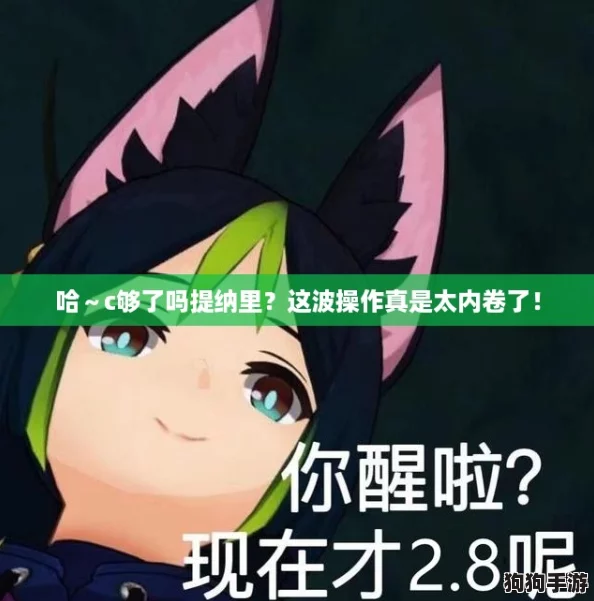 哈～c够了吗提纳里？这波操作真是太内卷了！