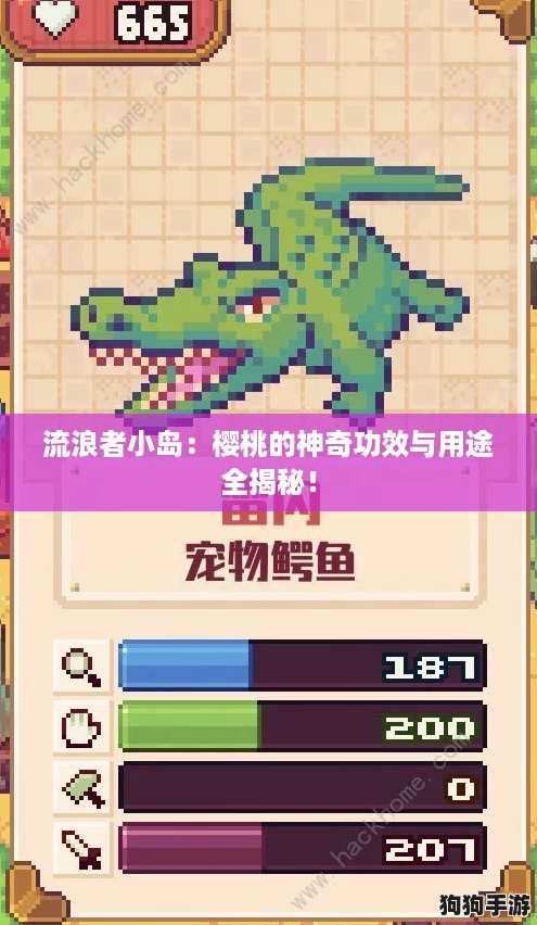 流浪者小岛：樱桃的神奇功效与用途全揭秘！