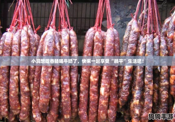 小洞想吃香肠喝牛奶了,快来一起享受“躺平”生活吧! 小洞想吃香肠喝牛奶了,快来一起享受“躺平”生活吧!