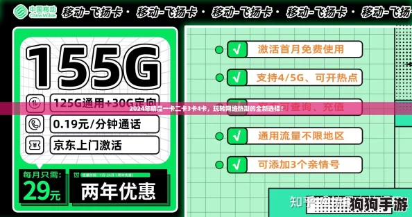 2024年精品一卡二卡3卡4卡，玩转网络热潮的全新选择！