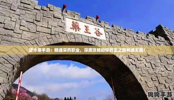 逆水寒手游:精通采药职业,深度攻略助你药王之路畅通无阻! 逆水寒手游:精通采药职业,深度攻略助你药王之路畅通无阻!