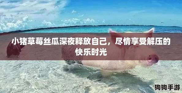 小猪草莓丝瓜深夜释放自己，尽情享受解压的快乐时光
