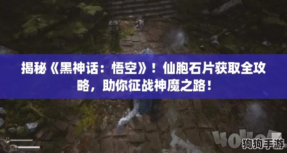 揭秘《黑神话：悟空》！仙胞石片获取全攻略，助你征战神魔之路！