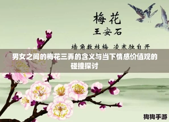 男女之间的梅花三弄的含义与当下情感价值观的碰撞探讨