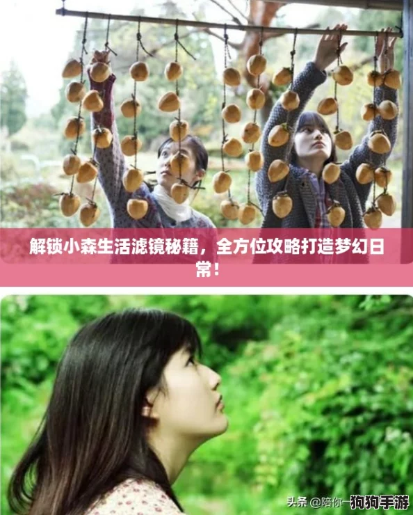 解锁小森生活滤镜秘籍，全方位攻略打造梦幻日常！