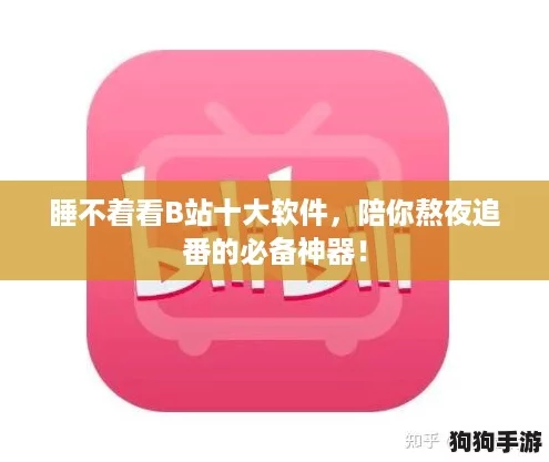 睡不着看B站十大软件，陪你熬夜追番的必备神器！