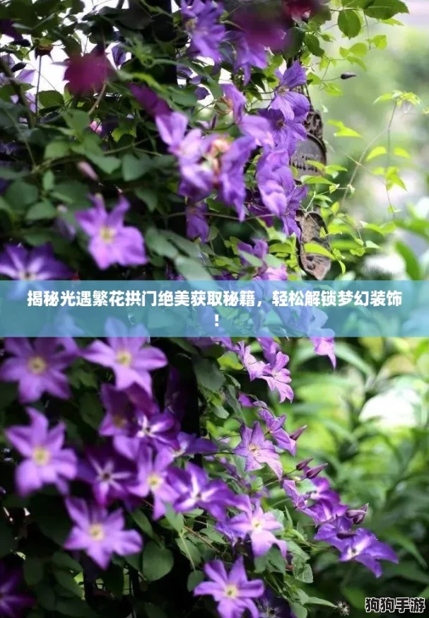 揭秘光遇繁花拱门绝美获取秘籍，轻松解锁梦幻装饰！