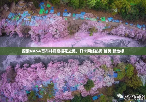 探索NASA哥布林洞窟樱花之美，打卡网络热词‘绝美’新地标