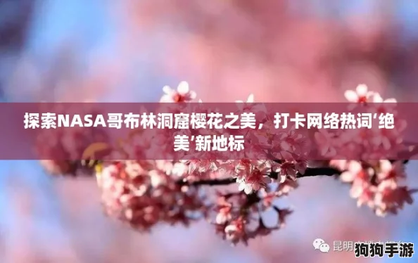 探索NASA哥布林洞窟樱花之美，打卡网络热词‘绝美’新地标
