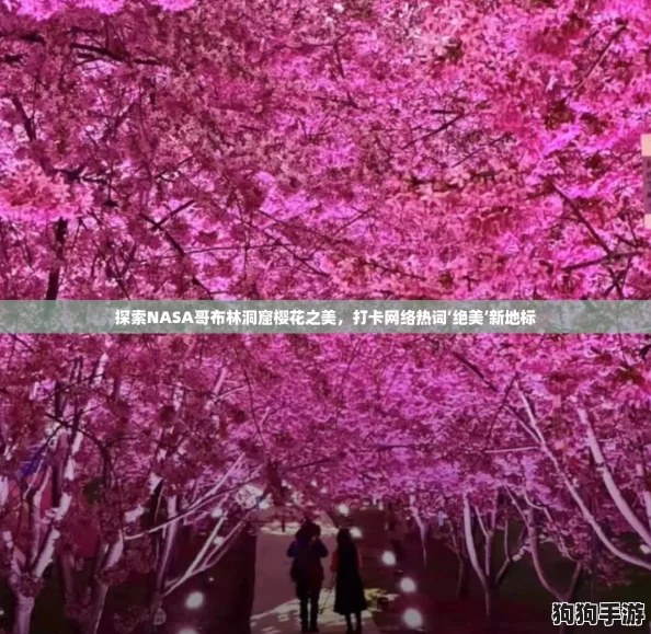 探索NASA哥布林洞窟樱花之美，打卡网络热词‘绝美’新地标