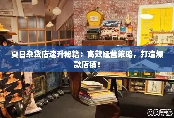 夏日杂货店速升秘籍：高效经营策略，打造爆款店铺！