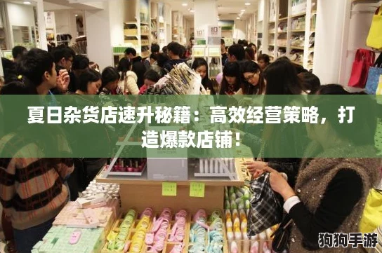 夏日杂货店速升秘籍:高效经营策略,打造爆款店铺! 夏日杂货店速升秘籍:高效经营策略,打造爆款店铺!