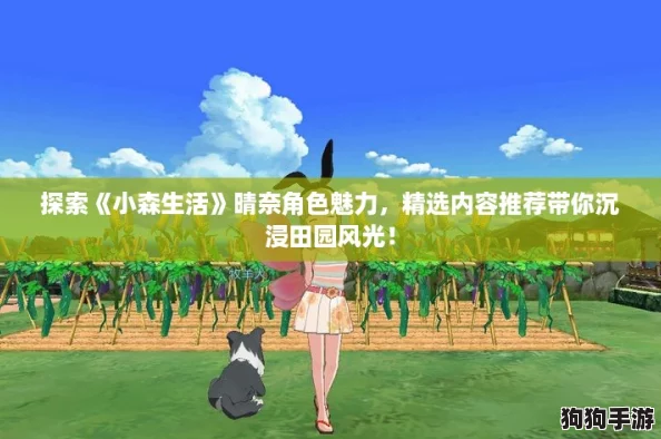 探索《小森生活》晴奈角色魅力，精选内容推荐带你沉浸田园风光！