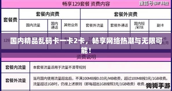 国内精品乱码卡一卡2卡，畅享网络热潮与无限可能！