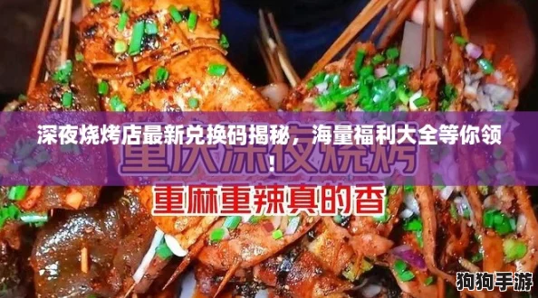 深夜烧烤店最新兑换码揭秘，海量福利大全等你领！