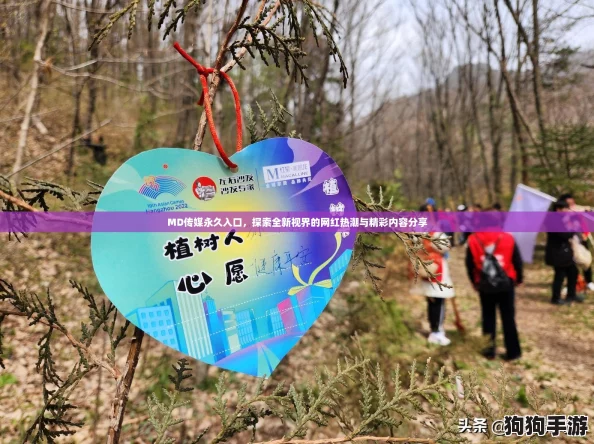 MD传媒永久入口，探索全新视界的网红热潮与精彩内容分享