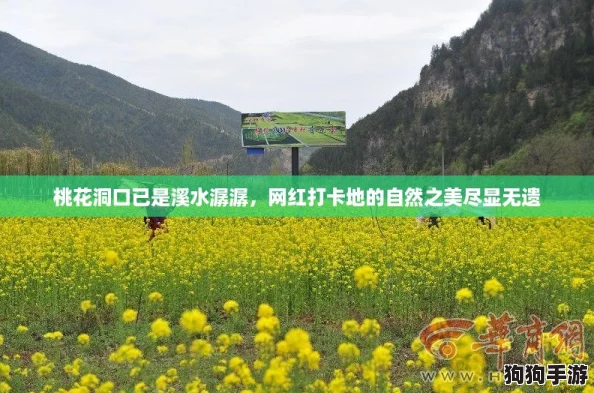 桃花洞口已是溪水潺潺，网红打卡地的自然之美尽显无遗