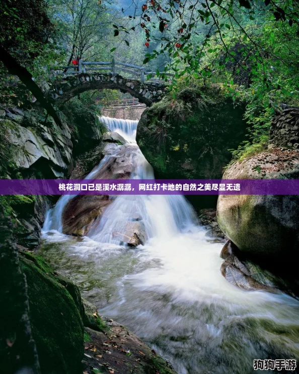 桃花洞口已是溪水潺潺，网红打卡地的自然之美尽显无遗