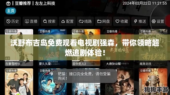 沃野布吉岛免费观看电视剧强森，带你领略超燃追剧体验！