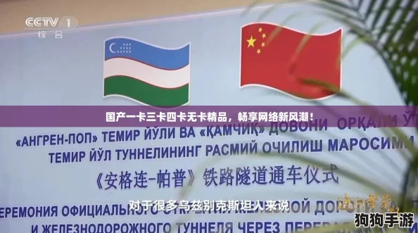 国产一卡三卡四卡无卡精品，畅享网络新风潮！
