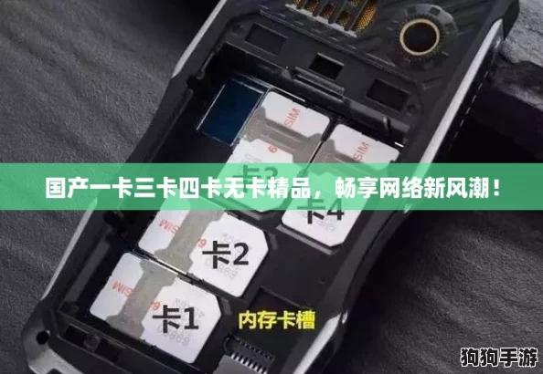 国产一卡三卡四卡无卡精品，畅享网络新风潮！