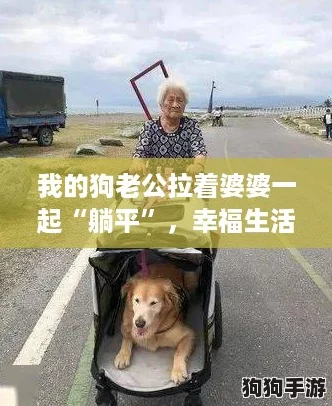 我的狗老公拉着婆婆一起“躺平”，幸福生活乐无边