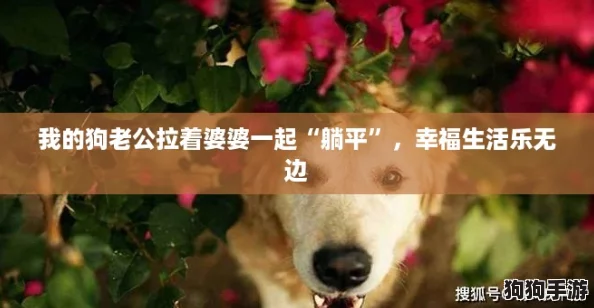 我的狗老公拉着婆婆一起“躺平”，幸福生活乐无边