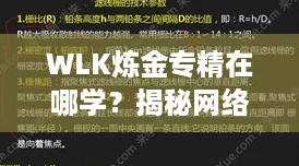 WLK炼金专精在哪学？揭秘网络热词下的高效学习途径！