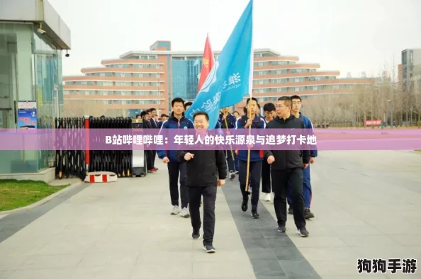 B站哔哩哔哩：年轻人的快乐源泉与追梦打卡地