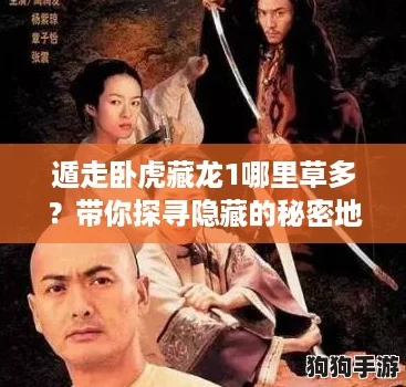 遁走卧虎藏龙1哪里草多？带你探寻隐藏的秘密地带！
