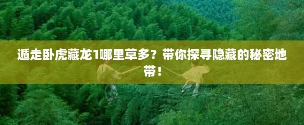 遁走卧虎藏龙1哪里草多？带你探寻隐藏的秘密地带！