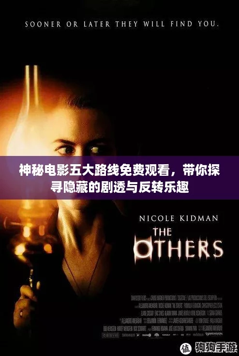 神秘电影五大路线免费观看，带你探寻隐藏的剧透与反转乐趣