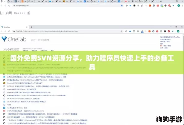 国外免费SVN资源分享，助力程序员快速上手的必备工具