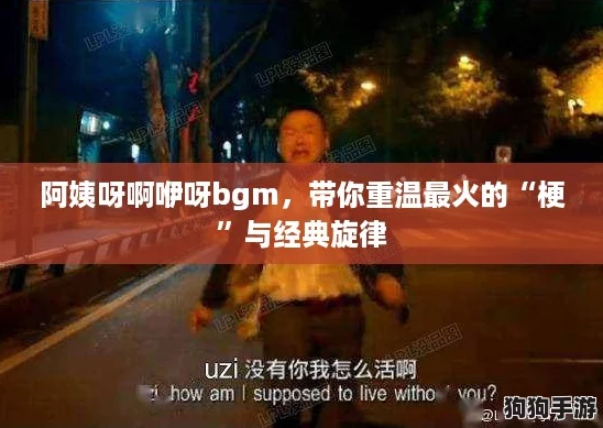 阿姨呀啊咿呀bgm，带你重温最火的“梗”与经典旋律