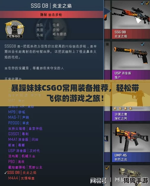 暴躁妹妹CSGO常用装备推荐，轻松带飞你的游戏之旅！