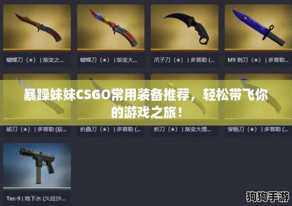暴躁妹妹CSGO常用装备推荐，轻松带飞你的游戏之旅！